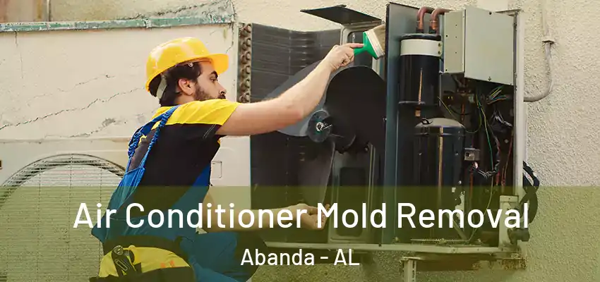  Air Conditioner Mold Removal Abanda - AL