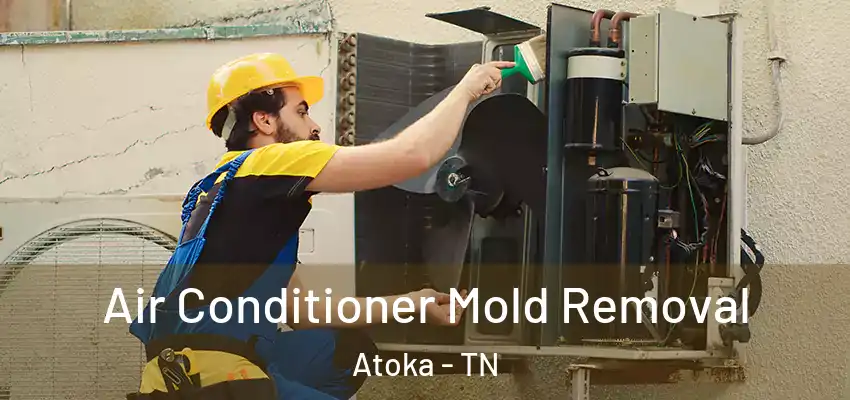 Air Conditioner Mold Removal Atoka - TN