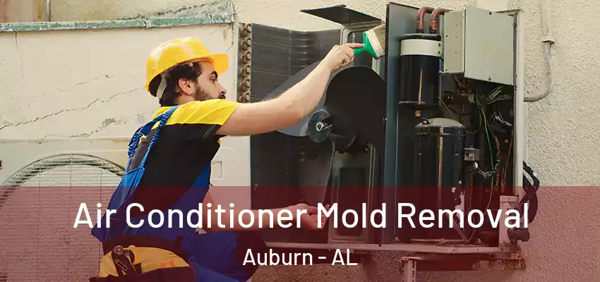 Air Conditioner Mold Removal Auburn - AL