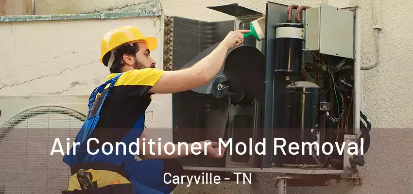 Air Conditioner Mold Removal Caryville - TN