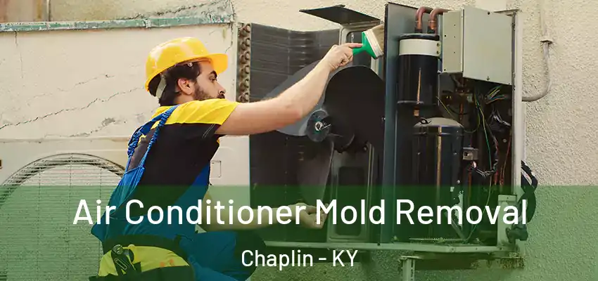  Air Conditioner Mold Removal Chaplin - KY