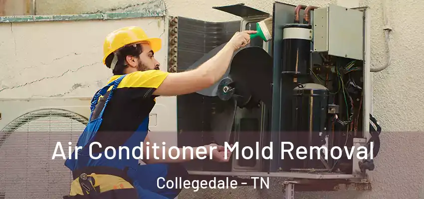  Air Conditioner Mold Removal Collegedale - TN