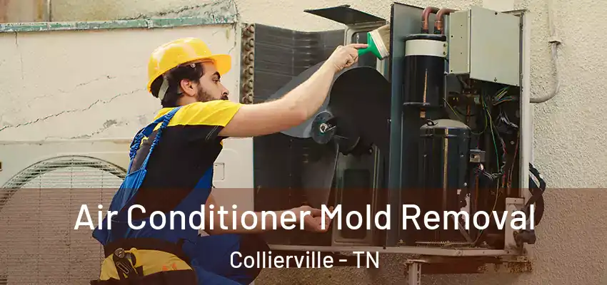  Air Conditioner Mold Removal Collierville - TN