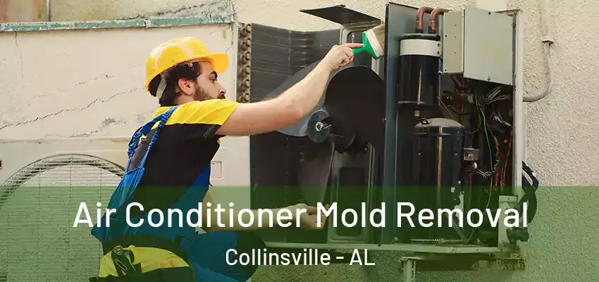 Air Conditioner Mold Removal Collinsville - AL