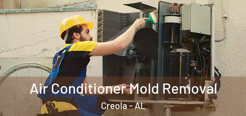 Air Conditioner Mold Removal Creola - AL