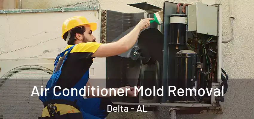  Air Conditioner Mold Removal Delta - AL