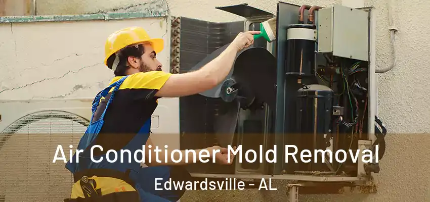  Air Conditioner Mold Removal Edwardsville - AL