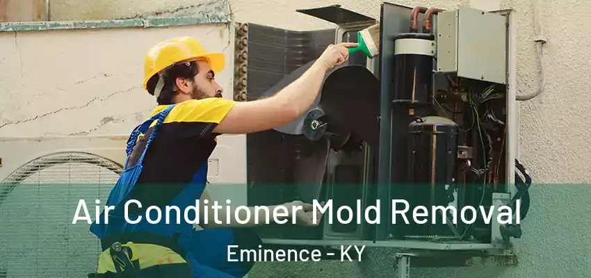  Air Conditioner Mold Removal Eminence - KY