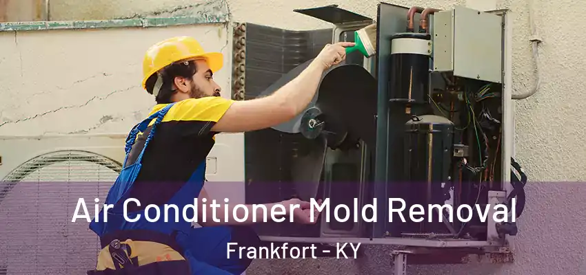 Air Conditioner Mold Removal Frankfort - KY