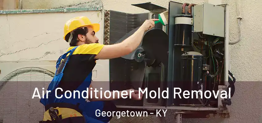  Air Conditioner Mold Removal Georgetown - KY