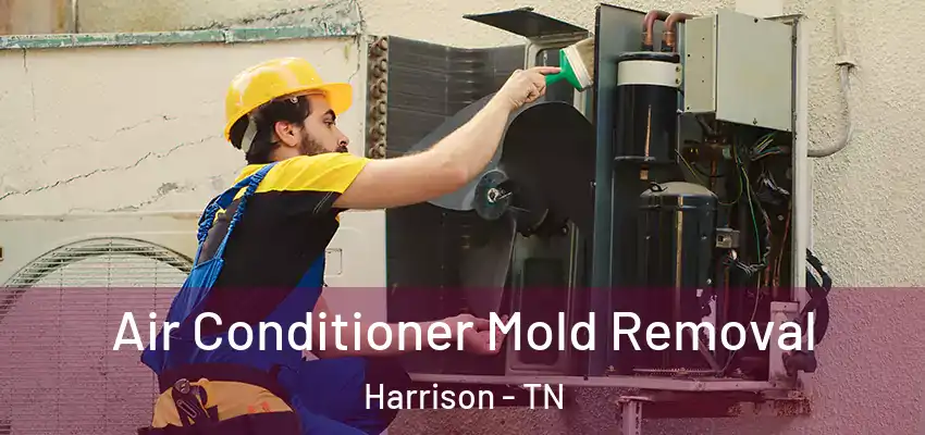  Air Conditioner Mold Removal Harrison - TN