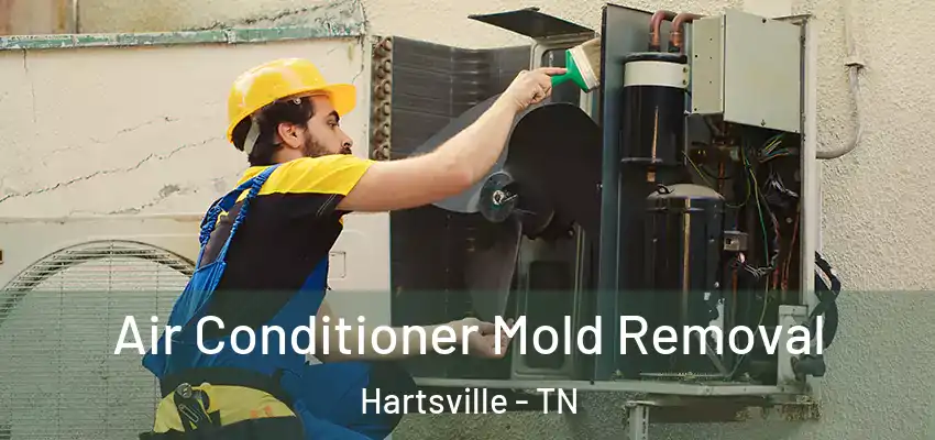  Air Conditioner Mold Removal Hartsville - TN