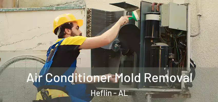 Air Conditioner Mold Removal Heflin - AL