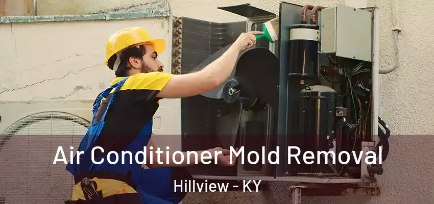  Air Conditioner Mold Removal Hillview - KY