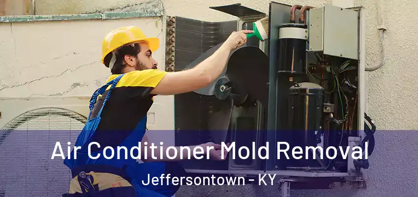 Air Conditioner Mold Removal Jeffersontown - KY