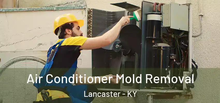  Air Conditioner Mold Removal Lancaster - KY