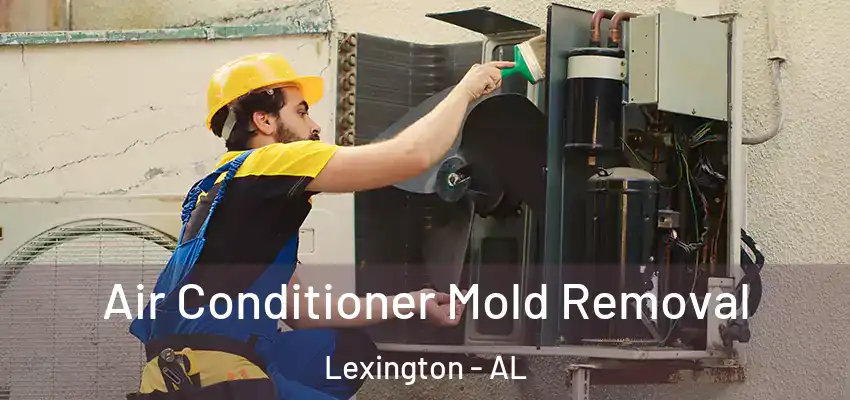 Air Conditioner Mold Removal Lexington - AL