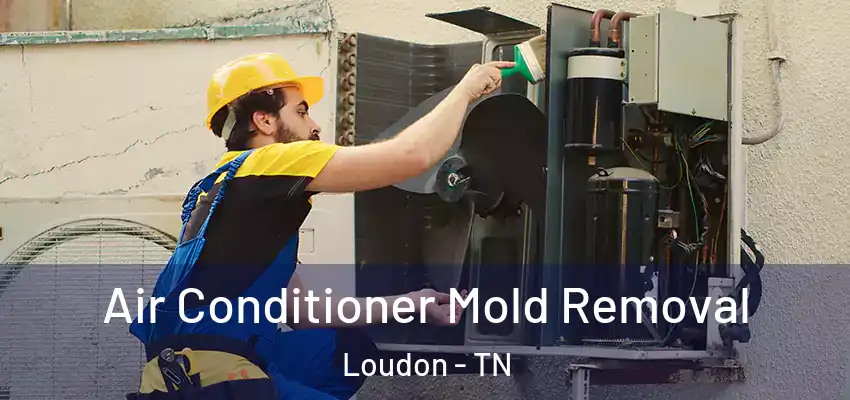 Air Conditioner Mold Removal Loudon - TN