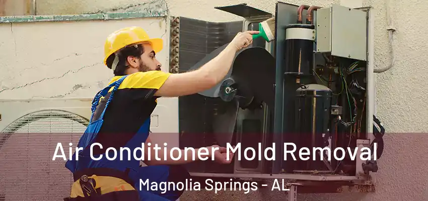 Air Conditioner Mold Removal Magnolia Springs - AL