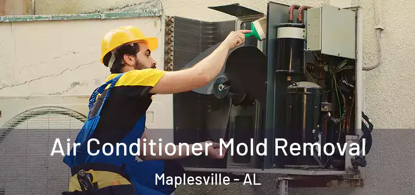 Air Conditioner Mold Removal Maplesville - AL