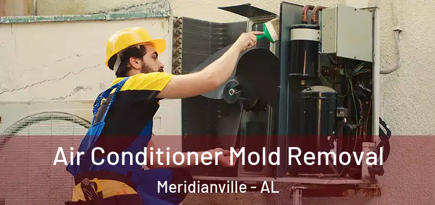 Air Conditioner Mold Removal Meridianville - AL