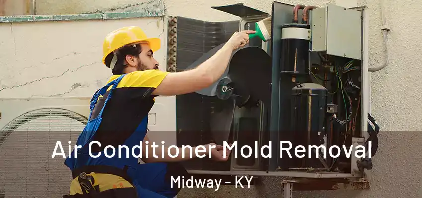  Air Conditioner Mold Removal Midway - KY