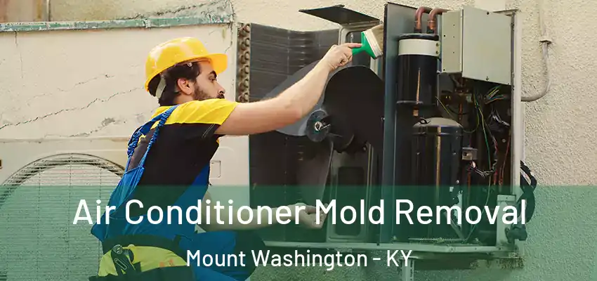 Air Conditioner Mold Removal Mount Washington - KY