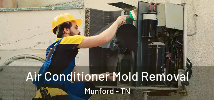 Air Conditioner Mold Removal Munford - TN