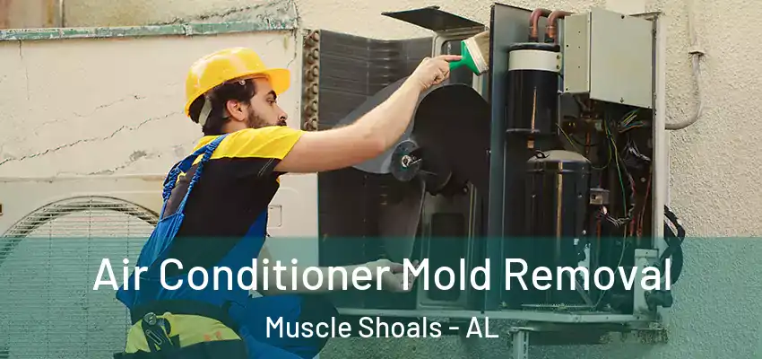  Air Conditioner Mold Removal Muscle Shoals - AL