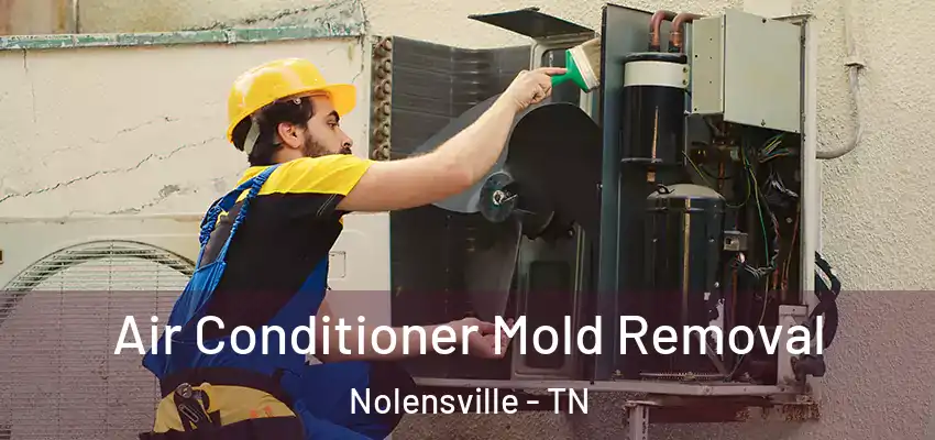  Air Conditioner Mold Removal Nolensville - TN
