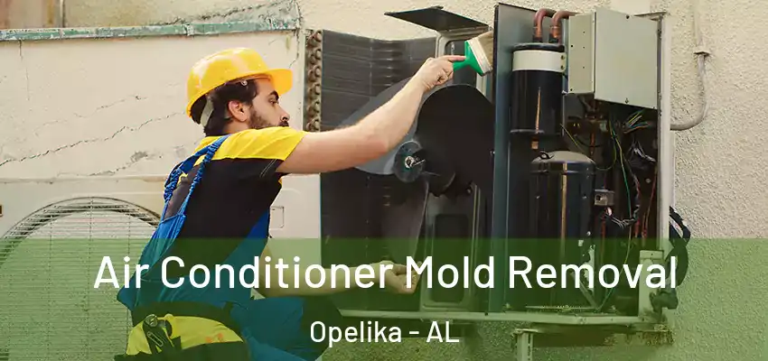 Air Conditioner Mold Removal Opelika - AL