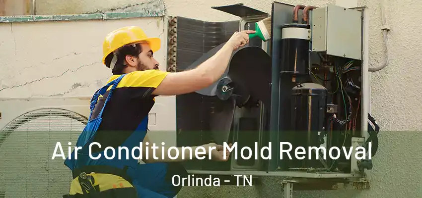 Air Conditioner Mold Removal Orlinda - TN