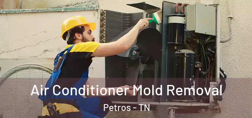 Air Conditioner Mold Removal Petros - TN