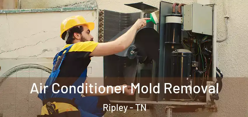 Air Conditioner Mold Removal Ripley - TN