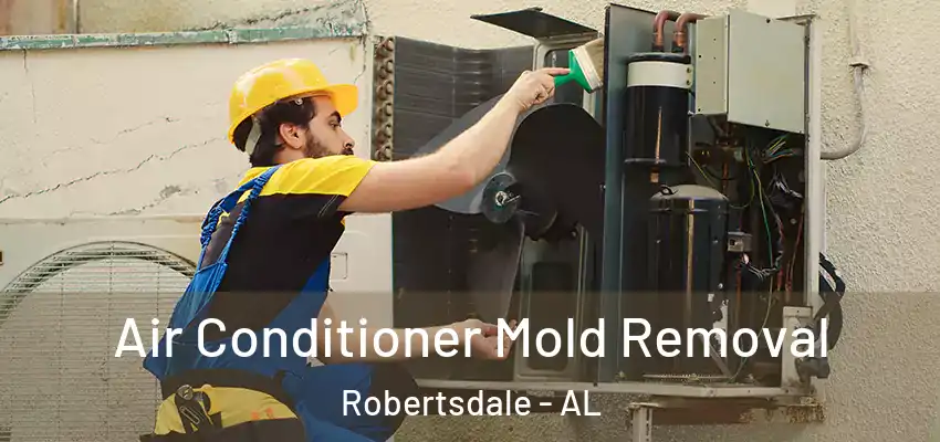 Air Conditioner Mold Removal Robertsdale - AL