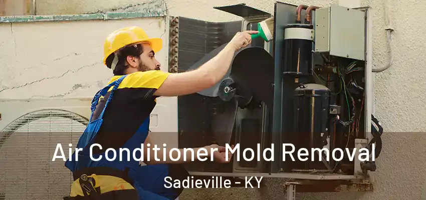 Air Conditioner Mold Removal Sadieville - KY