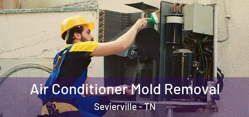 Air Conditioner Mold Removal Sevierville - TN
