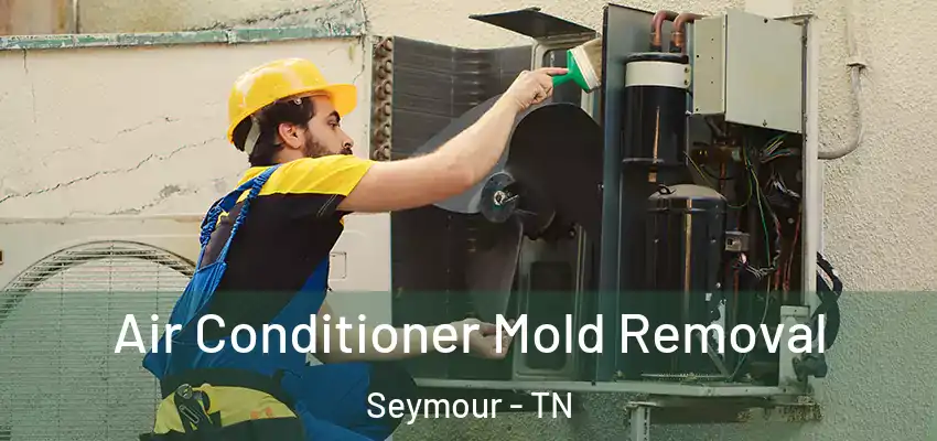 Air Conditioner Mold Removal Seymour - TN