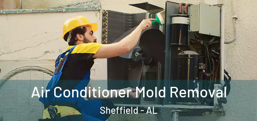  Air Conditioner Mold Removal Sheffield - AL
