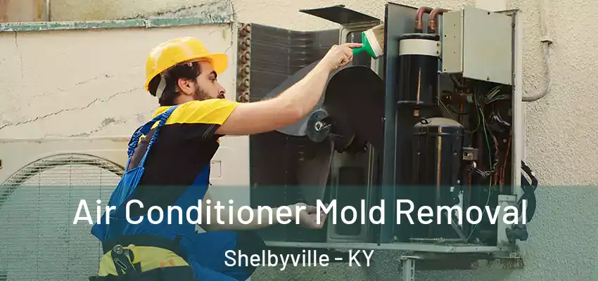  Air Conditioner Mold Removal Shelbyville - KY