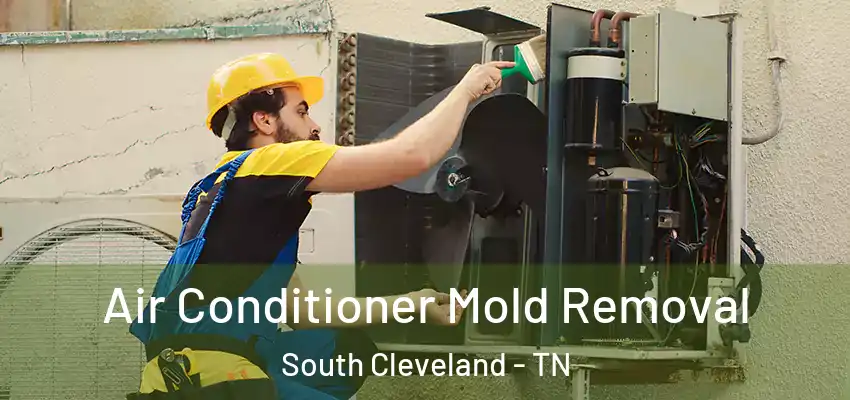  Air Conditioner Mold Removal South Cleveland - TN