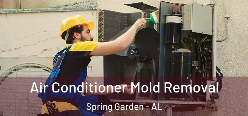  Air Conditioner Mold Removal Spring Garden - AL