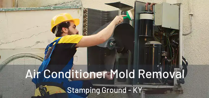 Air Conditioner Mold Removal Stamping Ground - KY
