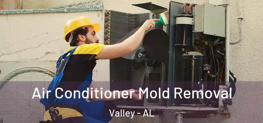  Air Conditioner Mold Removal Valley - AL