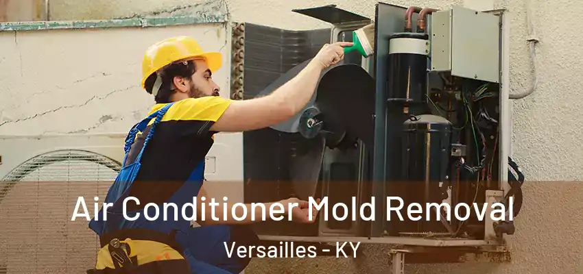  Air Conditioner Mold Removal Versailles - KY