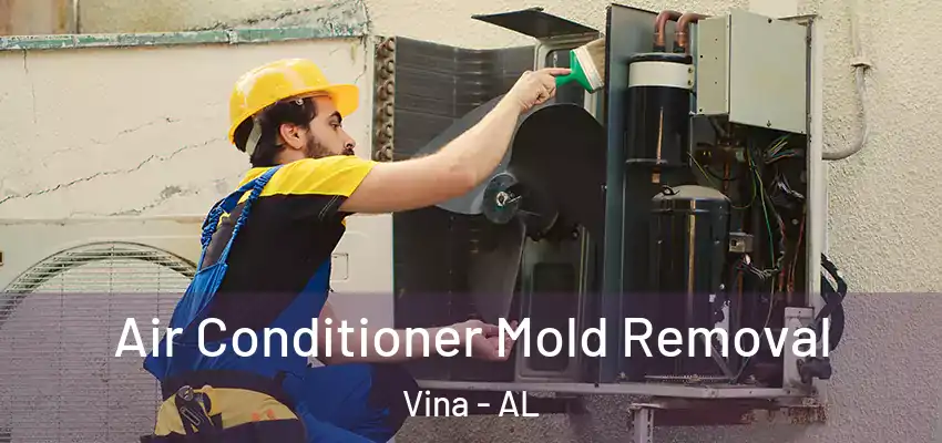 Air Conditioner Mold Removal Vina - AL