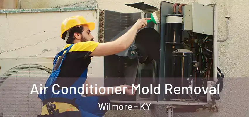 Air Conditioner Mold Removal Wilmore - KY