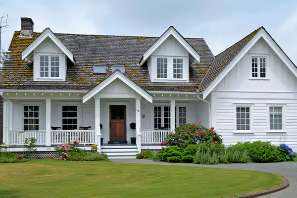 Mold Removal Services in Loxley, AL