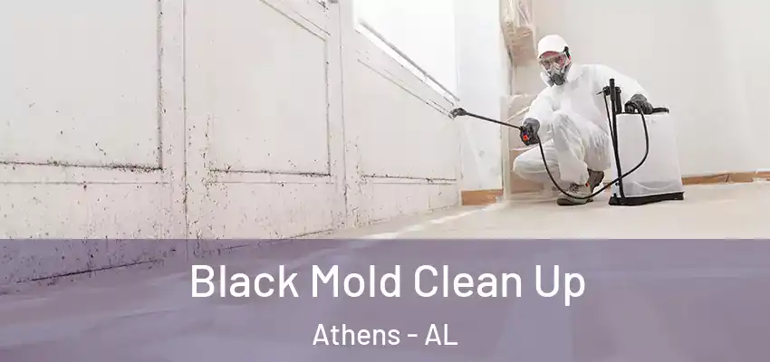 Black Mold Clean Up Athens - AL