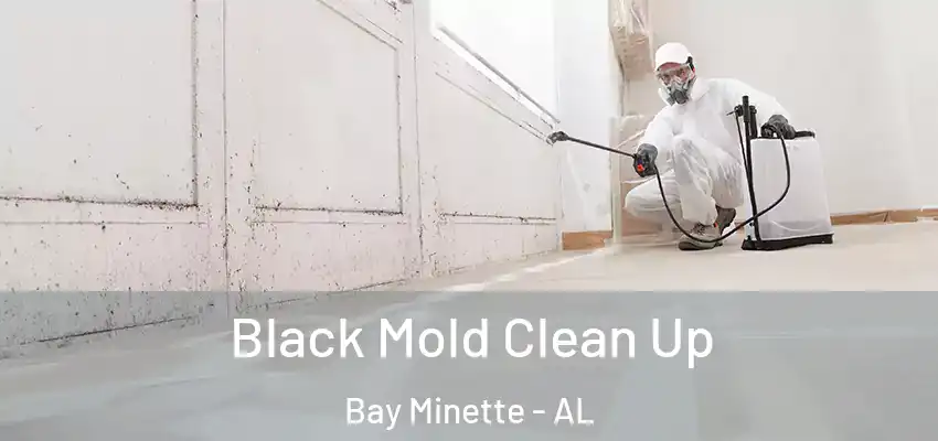Black Mold Clean Up Bay Minette - AL